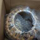 Hanging Lamps Rattan Pendant Light Hanging Lights 16.4ft Plug in Cord Pendant Light Fixture Plug Into Wall Outlet Pendant Lighting with On Off Switch for Bedroom Living, Size: 7.3 Inch (Egg Shade)