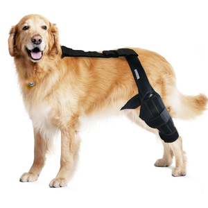 Dog Knee Brace for Hind and Rear Leg, Support for Dog ACL CCL Cruciate Ligament Injury Joint Pain and Muscle Sore, Size L