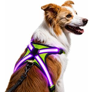 Light Up Dog Harness Type-C Rechargeable LED Dog Harness with RGB Multi-Colour Lighting Mode & 500mAh Battery, 500m Visible Waterproof Glow in The Dark Safety Vest for Night Walking, Avoid Accident S