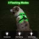 Taglory Light Up Dog Harness, Rechargeable No Pull Dog Vest with 3 Lightning Modes, Reflective Dog Harness with 2 Leash Clips & 4 Adjustable Slide Strips for Large Dogs, Turquoise-Green, L