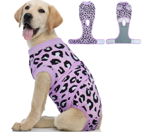 Kuoser Dog Recovery Suit for Dogs After Surgery,Professional Surgical Onesie for Female Male Dogs Spay Neuter,Soft Dog Surgery Suit Bodysuit for Abdominal Wounds Skin Disease,Purple Leopard,  L