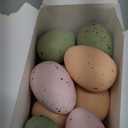 24/16/36 Pcs Easter Speckled Eggs, 2.4" Multi Colors Plastic Eggs for Easter Decorations, Pastel Easter Decor,Bowl & Vase Filler, Easter Basket Filler and Spring Table DIY Decor