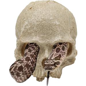 Snake Hideout, Reptile Aquarium Skull Decor, Resin Skeleton Head Fish Hide, Tank Terrarium Accessories, Reptile Hides and Caves for Fish Bearded Dragon Ball Python Leopard Gecko 4.7 × 3.5 × 3.7 Inch