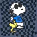 Peanuts Woodstock Snoopy Charlie Brown 3 Pack T-Shirts Toddler to Big Kid