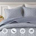 Madison Park Vintage Floral Quilt Set Queen Size, Reversible Bedding & Lightweight Bedspread Set, Traditional Block Print Coverlets with Ruffled Edge, 3-Piece with 2 Shams, Blue