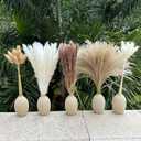 Pampas Grass Boho Home Decor 150Pcs 17-inch Natural Dried Flowers-Pampas Grass Contains Bunny Tails White Pampas Brown Pampas. Boho Decor for Farmhouse Wedding Boho Wall Bathroom Office Kitchen (150 Pcs)
