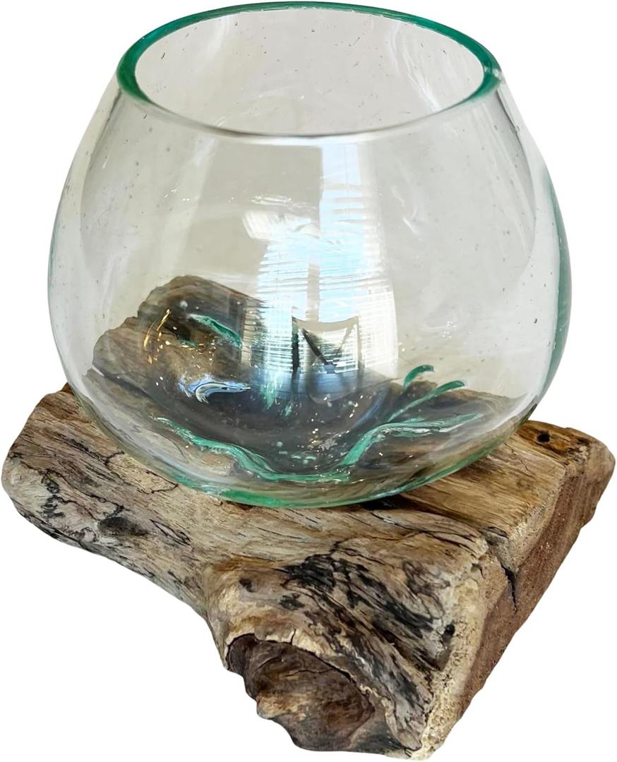 Small Hand-Blown Melted Glass Fish Bowl Vase Terrarium on Driftwood Base  Decorative Centerpiece Full or Empty