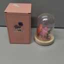 QUELIEN Mushroom Lamp,Mothers Day Mom Gifts for Mom,Light Up Mushroom in Glass Dome,Birthday Party Decorations,Ideal Birthday Gift,GirlfriendGift (Red)