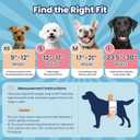 Disposable Dog Diapers Male M, Breathable Male Dog Wraps with Color Change Strip, Durable Belly Bands for Male Dogs Medium Breeds
