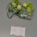 Silk Peony Flower Arrangement, 2 Bouquets Vintage Green & White Artificial Hydrangea Stems for Wedding, Home, Centerpiece, Table Decor