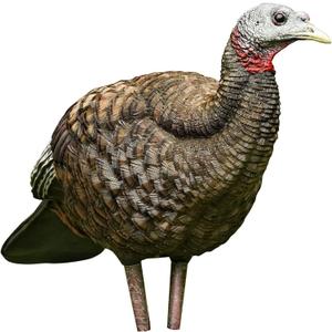 AVIAN-X LCD Breeder Hen Turkey Decoy | Durable Realistic Lifelike Collapsible Standing Hunting Decoy with Carry Bag & Stake, AVX8008