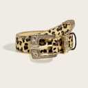 2 x FGSS Women's Leopard PU-Leather-Belt - Fashion Waist Belt with Chic Metal Buckle for Jeans Dress Pants (28"-38")
