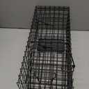 Live Squirrel Trap Heavy Duty Humane Animal Cage Trap (No Assembly Required)