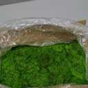 Preserved Reindeer Moss Natural Green DIY Kit Gardenning Art Wall Decor Florist Decor Easter Table Decor Wedding (0.85 lb)