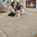 Area Rugs 9x12 Living Room, Shaggy Carpet Soft Plush Furry Bedside Rug Large Area Rugs for Bedroom Kids Girls Boys Home Decor Anti Slip(9 x 12, Beige)