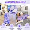 SlowTon Dog Surgery Recovery Suit - Zipper On Dog Onesies After Surgery for Female Male Dogs, Abdominal Wounds Bandages Cone/E-Collar Alternative Dogs Surgical Suit Shirt (Purple,M)