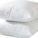 Standard Queen Pillow 20x20 Inch