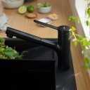 hansgrohe Zesis Black Single-Handle Kitchen Faucet, Kitchen Faucets with Pull Out Sprayer, Faucet for Kitchen Sink, Matte Black 74800671