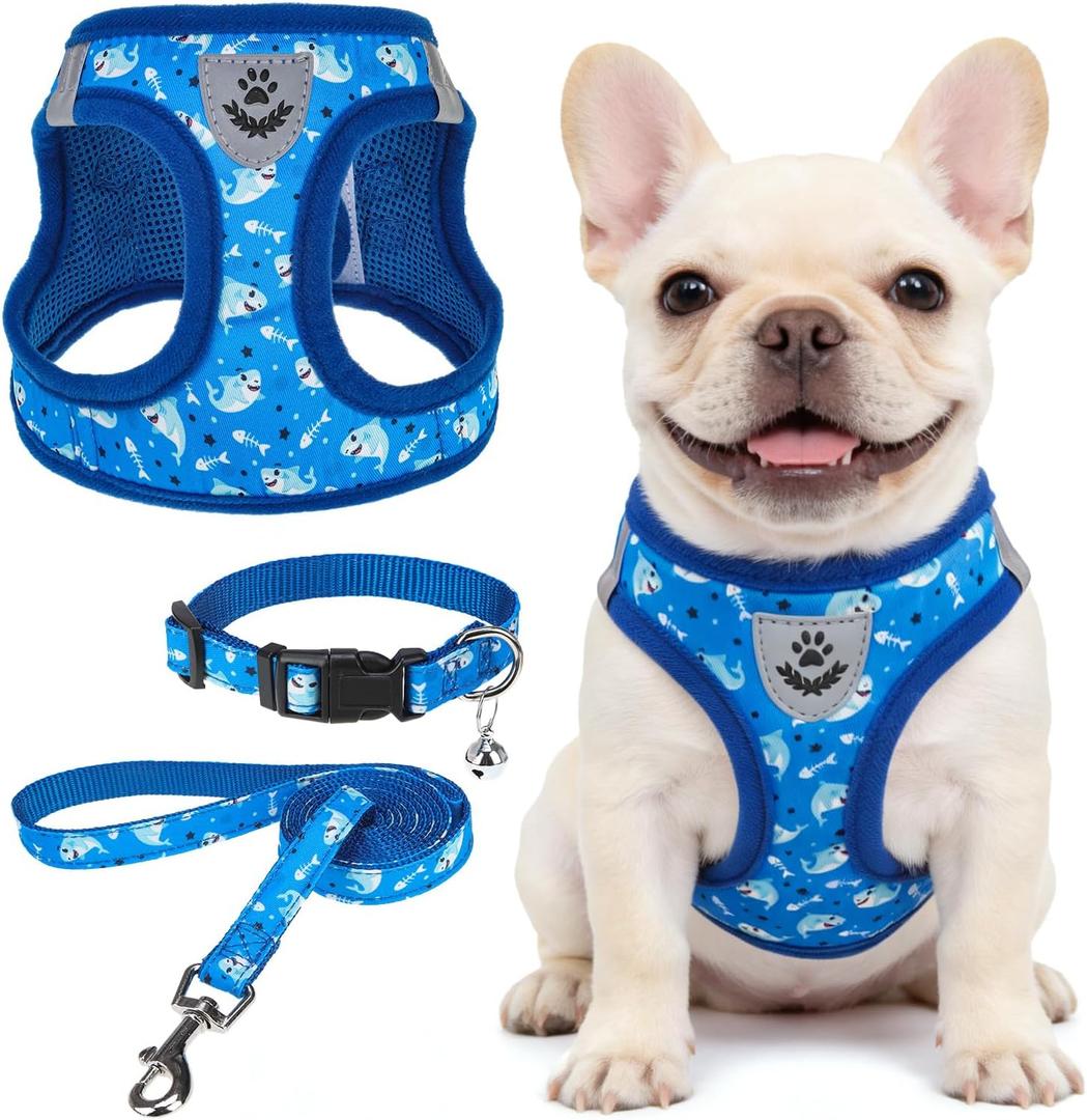 SCENEREAL Small Dog Harness and Leash Collar Set, Step in Soft Light Puppy Vest, Breathable Pet Harness for  Dogs, No Choke Reflective for Safe Outdoor Walking, Blue Shark M