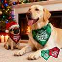Christmas Dog Bandanas - Santa's Favorite Trouble Maker, Naughty & Nice List Print Pet Holiday Scarf Costume Gift, Green Plaid, Small & Medium Breed, 5-25lbs