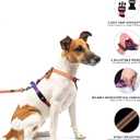 Roses&Poetry Dog Harness with Leash, No Pull Adjustable Harness Leash, Reflective Dog Halter Harnesses Comfort Padded Handle, Pet Walking Harness for Medium DogsMistyrose-M