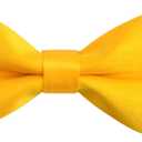 Alizeal 100 Days of School Costume for Kids 2.5cm Elastic Braces 3 Clip Suspender and Bow Tie Set with Fedora Hat (Yellow)