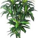 Artificial Dracaena Plant 6ft with White Tall Planter, Potted Artificial Dracaena Silk Plant, Fake Yucca Tree Plant, Home Office Floor Room Decor Plants Indoor Outdoor, Housewarming Gift