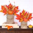 2 Styles Thanksgiving Decorations - 2 Pack 10 Inch Fall Decorations Tabletop Fall Tree Thanksgiving Table Centerpieces Maple Tree with Pumpkin Leafed Berry Wheat Thanksgivings Centerpieces for Tables