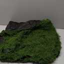 Fake Moss for Crafts 39.37" x 39.37" Artificial Moss for Indoor Plants Decorating Dark Green Faux Grass for Planters Crafts DIY Table Centerpieces Fairy Garden Floral Wedding 100 x 100cm