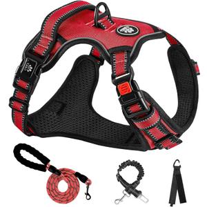 NESTROAD No Pull Dog Harness,Adjustable Oxford Dog Vest Harness with Leash,Reflective No-Choke Pet Harness with Easy Control Soft Handle for Small Dogs(Small,Red) (Sneck 11-15" chest 15-21")