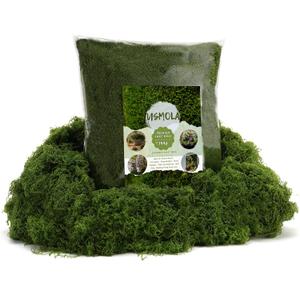 USMOLA 16OZ Fake Green Moss for Crafts, Artificial Moss for Potted Plants Decor, Bulk Moss for Indoor/Outdoor Use, DIY Floral Arrangements, Terrariums & Fairy Gardens (Dark Green) (EXP 05/13/27)