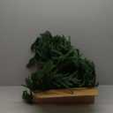 Simulated Pine Branches, Flower Bouquets, Plant Decoration Walls, Fences, Flower pots, Flower Arrangement Materials (12 Heads and 13 Forks)