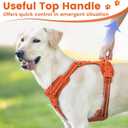 No Pull Dog Harness Front Clip Handle, Reflective Pupppy Vest | Orange L, Lockable Buckle at Neck, Adjustable, Padded, Breathable, Metal Front & Back Leash Clips, for Large Sized Dogs