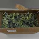 Winlyn Set of 2 Small Artificial Potted Plants Faux Eucalyptus Plant in White Geometric Ceramic Pots Small Desk Potted Plants 7.1" Tall for Home Office Room Decorations Wedding Greenery Centerpiece