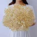 Dried-Babys-Breath-Bouquet-17.2 inch Dried Flowers, Natural Gypsophila Branches for Home Decor, Wedding, Table Decor, DIY Wreath Floral, Dry Flowers Bulk for Vase (Off White)