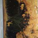 CIRABKY Black and Gold Tree Wall Art Living Room - Large Canvas Wall Art Bedroom - Home Office Decor Wall Size 29" x 59"