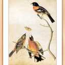 6x9 Picture Frame, Gold Aluminum Metal Photo Frames with HD Glass, Fits 5x7 with Mat or 6 x 9 without Mat, Display for Wall and Table