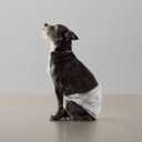 Amazon Basics Leak-Proof, Super Absorbent Male Dog Diapers with Wetness Indicator, Comfortable Design, Breathable Disposable Wrap, Secure Fit, Small, 30 Count