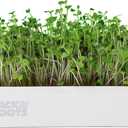 Back to The Roots Organic Microgreens Grow Kit with Ceramic Planter, Expandable Soil, Organic Seeds, and Germination Lid
