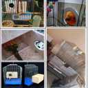 Hamiledyi 2PCS Parakeet Nesting Box Bird House Bird Nest Wood Breeding Box Parrot Mating Box for Parrot Lovebirds Cockatiel Conure Cockatoo Budgie Finch CanaryStyle A
