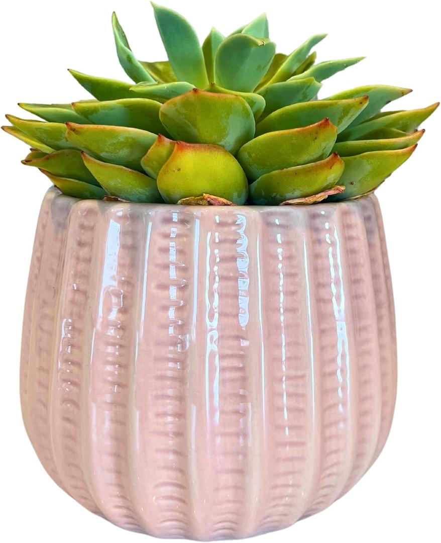 Admired by Nature 4" Ceramic Flower Planter Pot Decorative Planter for Indoor Plant Succulent Home Dcor, Lightweight, Light Pink