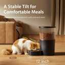IMIPAW Automatic Cat Feeders, 3L Timed Cat Dry Food Dispenser, Dual Power Supply, Programmable Portion Size, 1-6 Meals Per Day, Auto Pet Feeder for Cats and Small Dogs, with Desiccant Bags