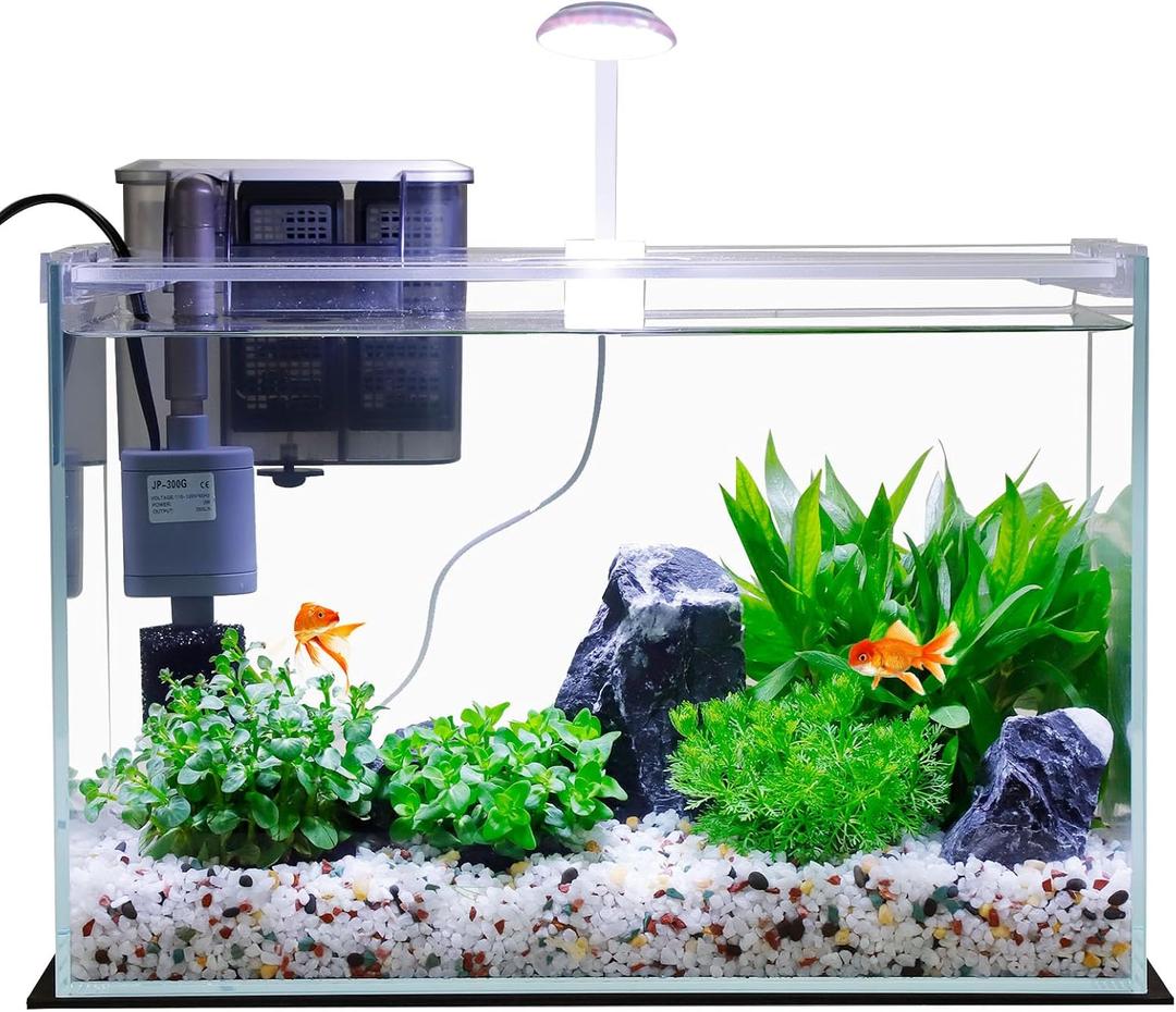 3 Gallon Glass Small Fish Tank, Betta Fish Tank Starter Kit with Filter, Lights,Lid.