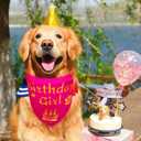 4 x Dog Birthday Bandana Girl Pink, Durable Triangle Reversible Scarf Bibs Handkerchief for Puppy Pet, Dogs Party Accessories for Small Medium Large
