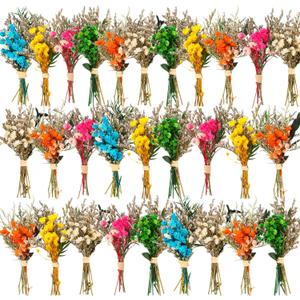 Nuanchu 30 Pcs Mini Dried Floral Flower Gypsophila Bouquets Dried Embossing Flowers with Stem for Vase, Wedding, DIY Scrapbook Card Party Decor (Gypsophila)