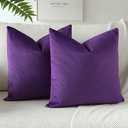 OTOSTAR Velvet Soft Decorative Throw Pillow Covers Solid Square Cushion Case Home Decor Pillow Covers for Couch Sofa Living Room Bedroom Decorative Pillowcases Set of 2 (Purple)