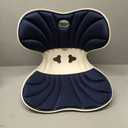 Ergonomic back support office chair cushion, back cushion for posture correction, suitable for long sitting to relieve low back pain - back posture corrector (blue, Large size-（19inch*16inch）)