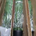 3 Pack Artificial Palm Trees Plants for Indoor Outdoor Use, 3FT Fake Palm Trees Silk Tropical Plants with 16 Tree Trunks, Faux Potted Plant for Home & Office, Living Room, Porch, Patio, Graden Decor