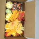 Winlyn 46 Pcs Assorted Small Artificial Pumpkins and Gourds with Acorns Pinecones Maple Leaves Fall Harvest Decor Set for Autumn Party Table Centerpiece Thanksgiving Halloween Wreaths Vase Bowl Filler