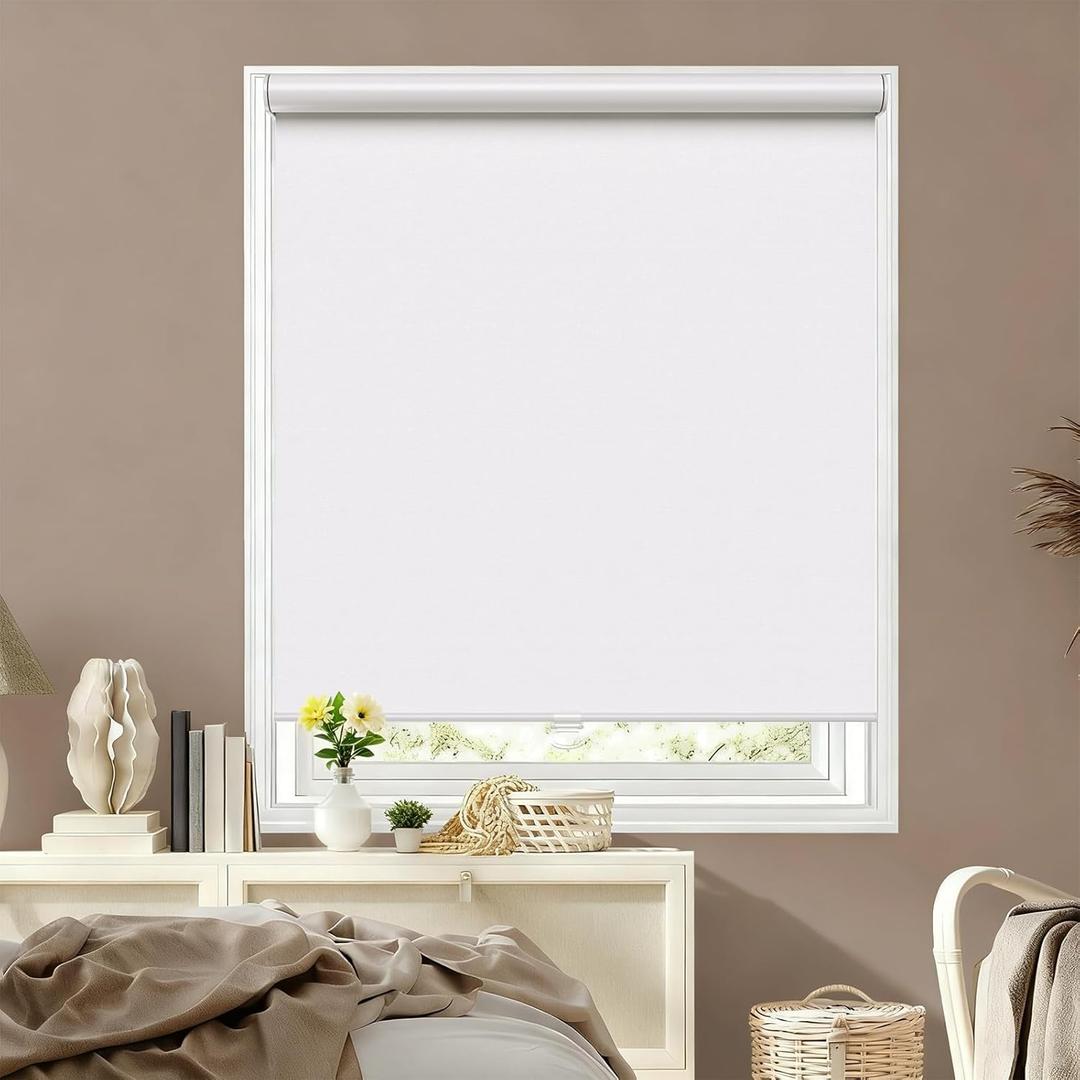 Window Blinds Cordless,Blackout Roller Shades,Blinds for Indoor Windows,Door Curtains,Room Darkening,Insulated UV Protection Pull Down Shades with Spring System,door blinds (White, 25" W x 72" H)